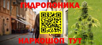 трава Обнинск